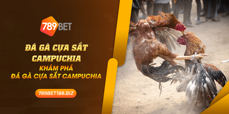 40 da ga cua sat campuchia kham pha da ga cua sat campuchia