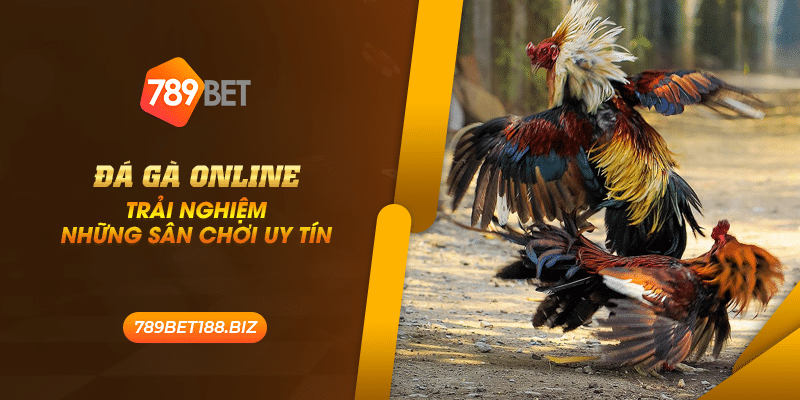 41 da ga online trai nghiem nhung san choi uy tin