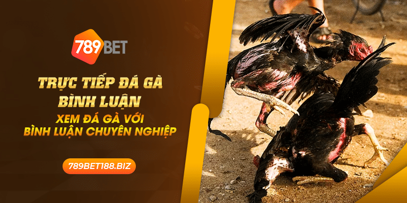 42 truc tiep da ga binh luan xem da ga voi binh luan chuyen nghiep