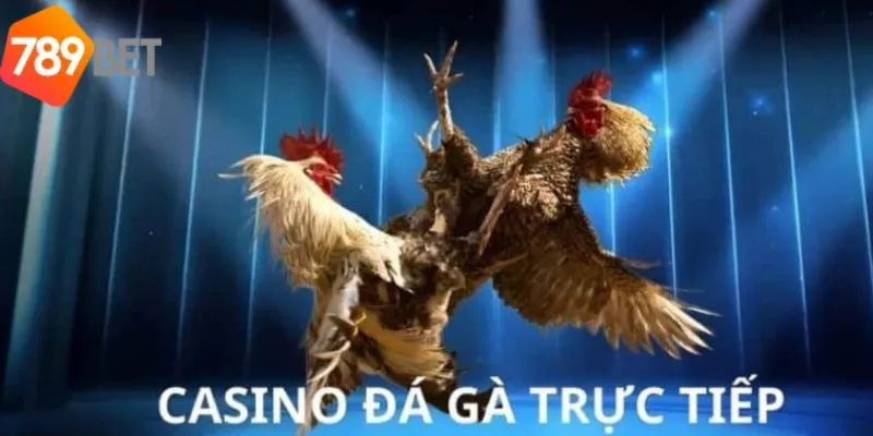 Trải Nghiệm Cược Đá Gà Casino Đầy Sôi Động Tại 789bet 2 789bet cung cấp ba loại hình đá gà chính