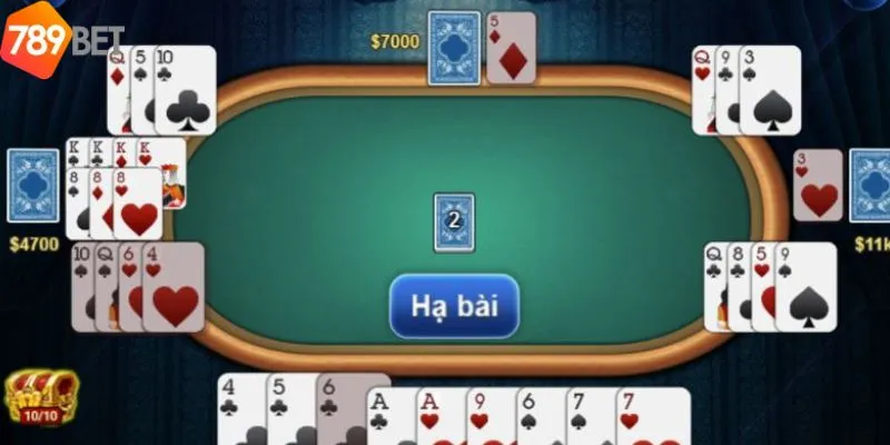 Kinh nghiệm chơi phỏm online cho người mới bắt đầu