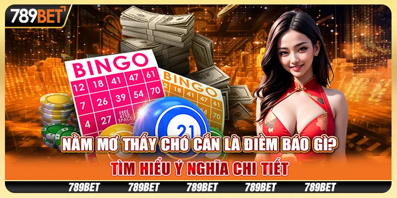 Nằm Mơ Thấy Chó Cắn Điềm Báo Gì? Tìm Hiểu Ý Nghĩa Với 789bet