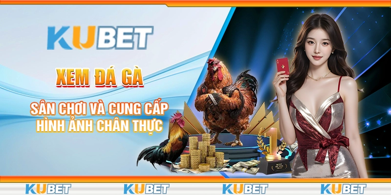 4 xem da ga – san choi va cung cap hinh anh chan thuc