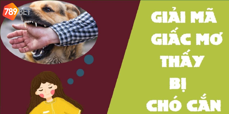 Nằm mơ thấy chó cắn và cơ hội lô đề với 789bet