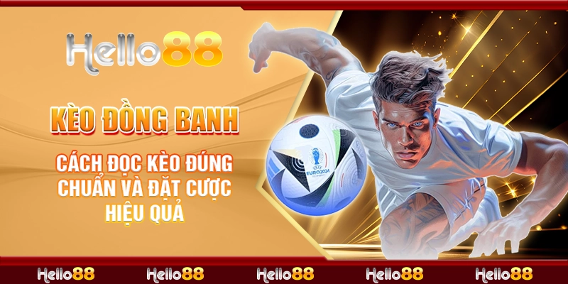 12 keo dong banh cach doc keo dung chuan va dat cuoc hieu qua