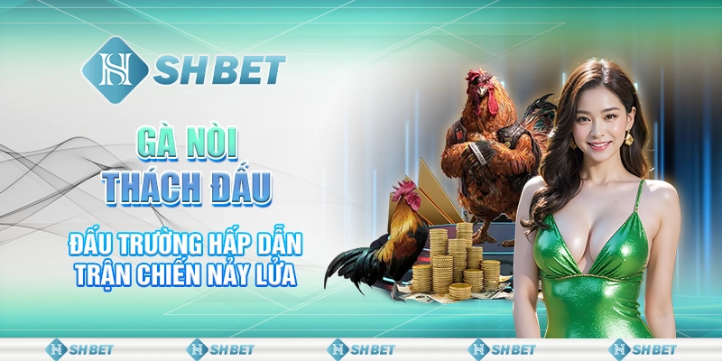 26 ga noi thach dau – dau truong hap dan tran chien nay lua 1