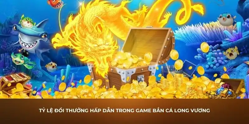 Luật đi săn cá là điều anh em ra khơi cần nhớ