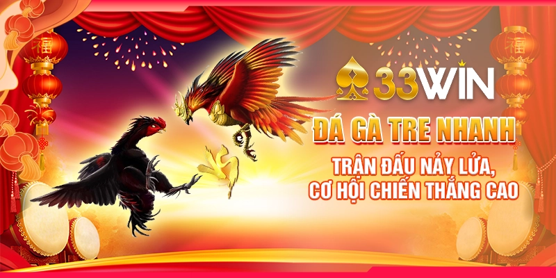 Đá Gà Tre Nhanh : Trận Đấu Nảy Lửa, Cơ Hội Chiến Thắng Cao 1 Đá Gà Tre Nhanh : Trận Đấu Nảy Lửa, Cơ Hội Chiến Thắng Cao