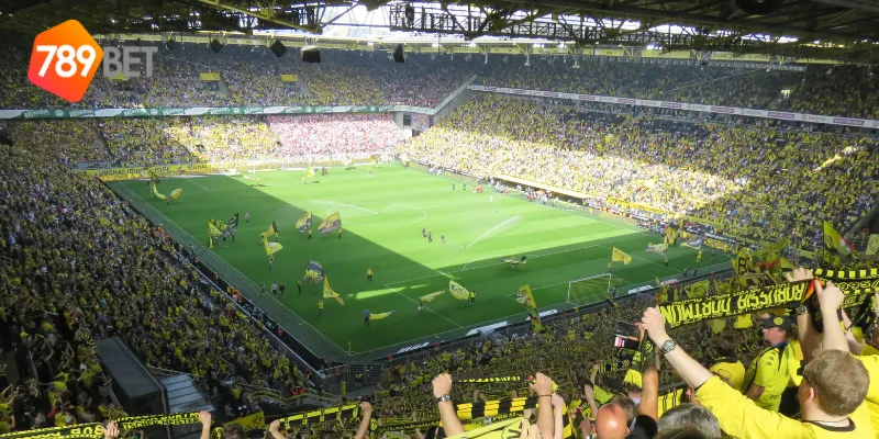 Phân tích kèo V-League, dự đoán chính xác với 789BET 3 Các công cụ hỗ trợ khi phân tích kèo V-League