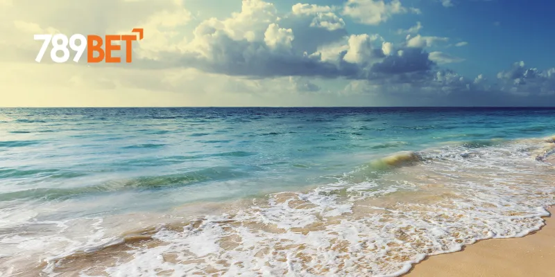 Nằm Mơ Thấy Biển – Giải Mã Giấc Mơ Thấy Biển và Ý Nghĩa Phong Thủy 3 Giải đáp các tình huống nằm mơ thấy biển