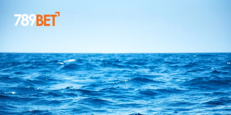 Nằm Mơ Thấy Biển – Giải Mã Giấc Mơ Thấy Biển và Ý Nghĩa Phong Thủy 2 Ý nghĩa của nằm mơ thấy biển theo phong thuỷ