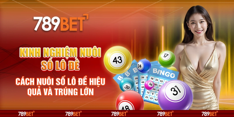 Kinh nghiệm nuôi số lô đề – Cách nuôi số lô đề hiệu quả và trúng lớn