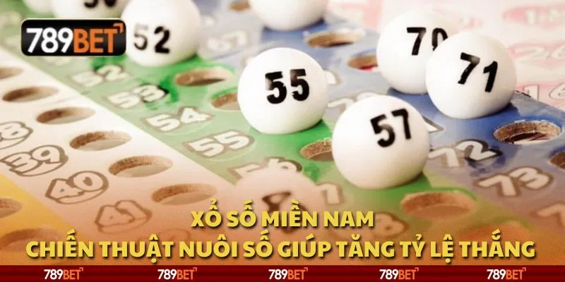 Xổ số miền Nam: Chiến thuật nuôi số giúp tăng tỷ lệ thắng