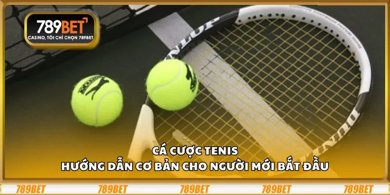 Cá cược tennis: Hướng dẫn cơ bản cho người mới bắt đầu